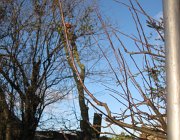 2013-03-23 18-07-32 - IMG 4618
